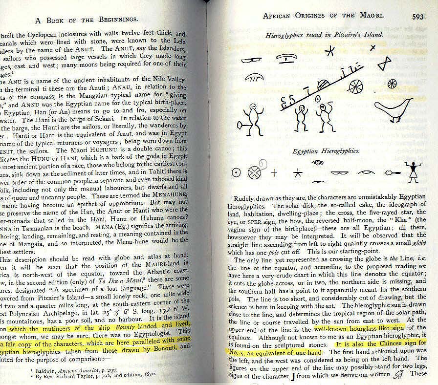 maori hieroglifk